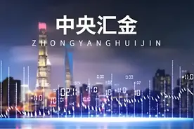 该出手时就出手的中央汇金是什么来头？1分钟搞懂这支“国家队”图片