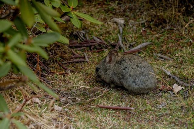 库拉岗日，“戏”真多！