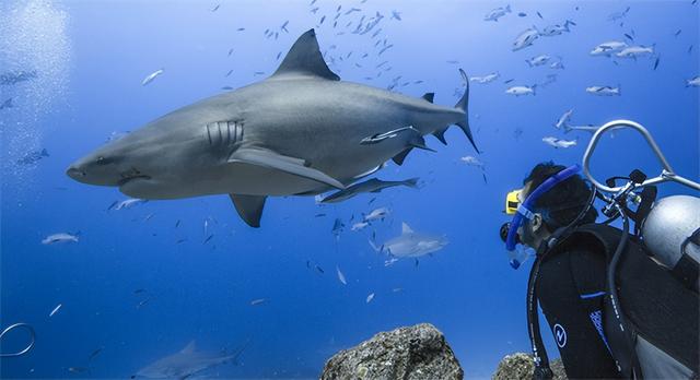 以斐济独特「Bula精神」解锁海岛多元魅力