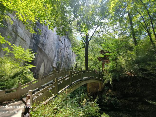 林壑听涛逢旧雨 溪声松语话流年