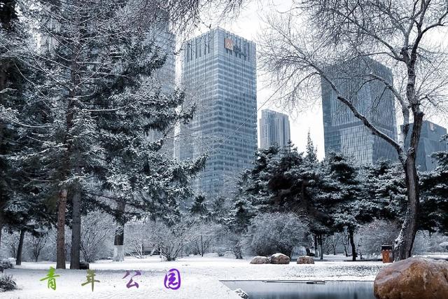 沈 阳 辽宁省省会