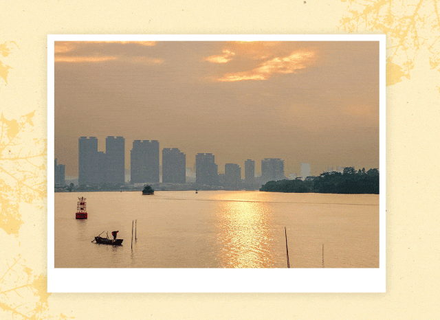 番禺秋日治愈系天花板！在这里江边漫步，才是顶配的私藏浪漫