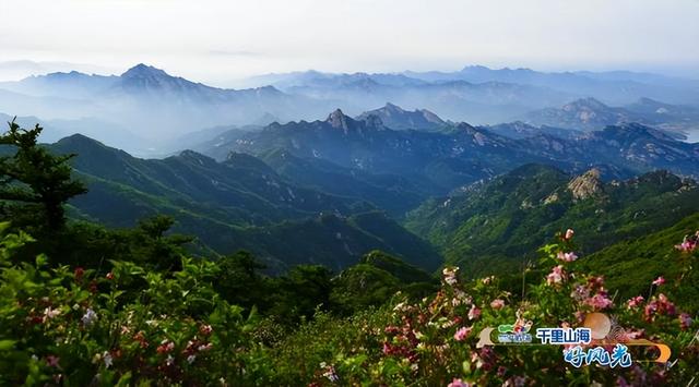 跟着演出游威海丨青春归位，乐动山海！
