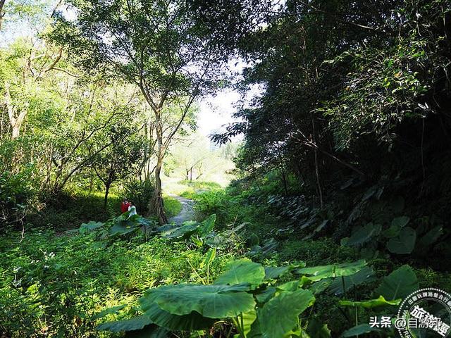 和美山碧潭水陆绿色生态旅游 摆渡赏萤趣