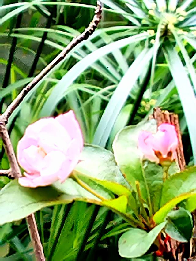 盘溪河的冬，藏着山城最温柔的秋意