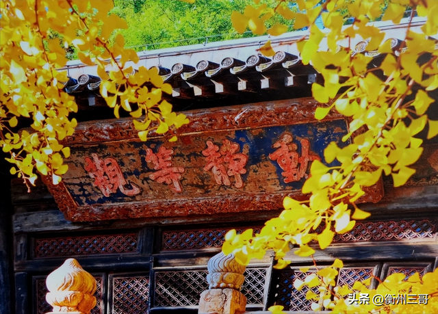 乾隆帝曾赋诗的银杏树王——大觉寺的银杏树王
