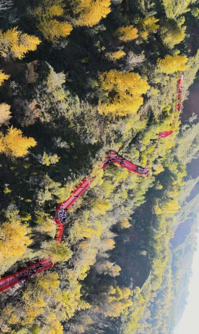 凤凰山秋记|层林尽染处，秋意满临夏