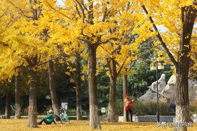 无锡吴都路，金色的世界