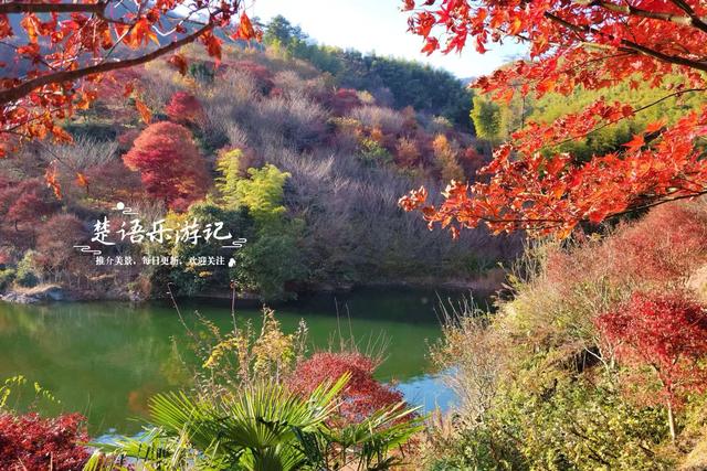 宁波这处秋色又到最美时刻，4条古道串联起近10个村庄，值得推荐