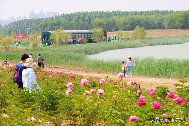 解读一街一河五湖十六泉|第六站：襄湖