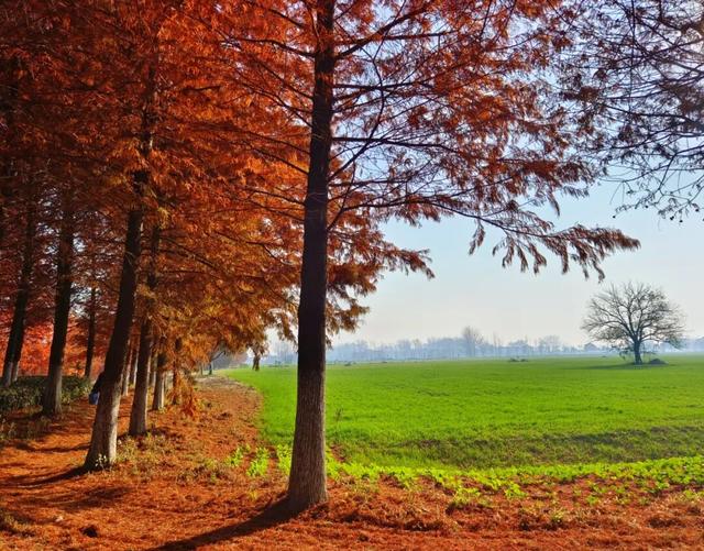要火！太出片了！阜阳这里竟美到窒息，很多人不知道，赶紧去！多图拍下！