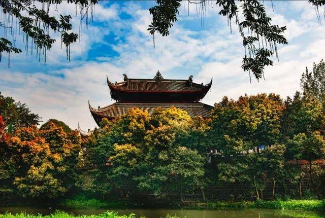 好洋盘！裸眼3D新津美景亮相东郊记忆→