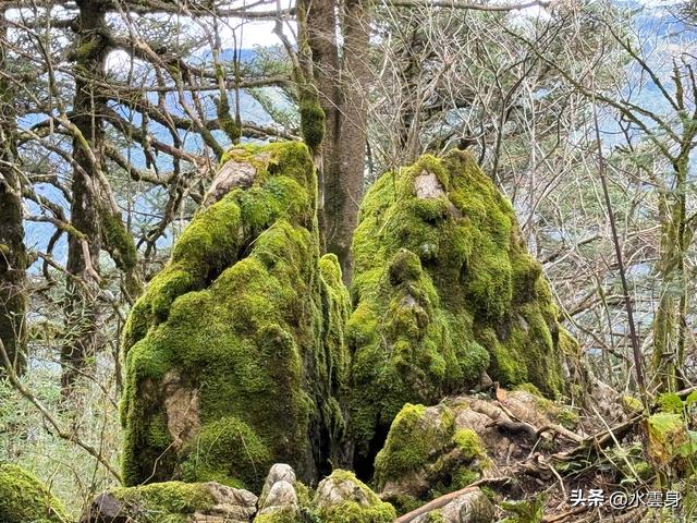 北京自驾长江三峡、神农架之旅（6）