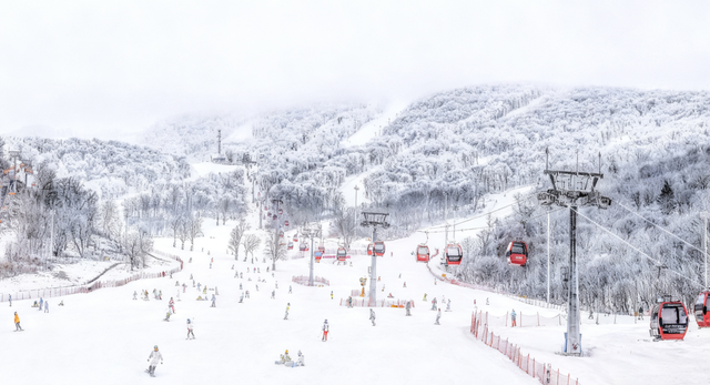 冰雪季陆续开板！看遍全网滑雪攻略吐血总结的全国滑雪地图来了