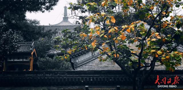 层林尽染美如画！大同各景区秋景，每一帧都像穿越千年~