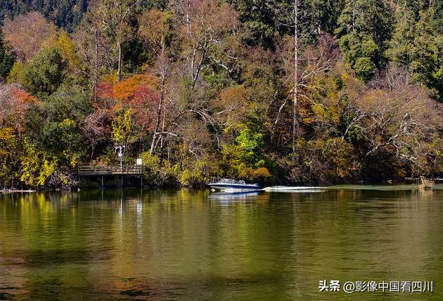 四川九寨沟：甲勿池金秋好风光