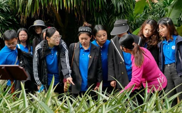 春节游万宁兴隆｜解锁热带归侨的暖冬年味！