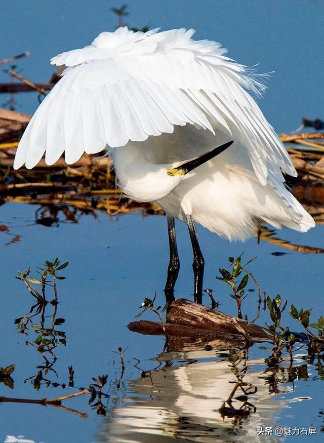 跨越山海的生态之约 奏响人与自然和谐乐章