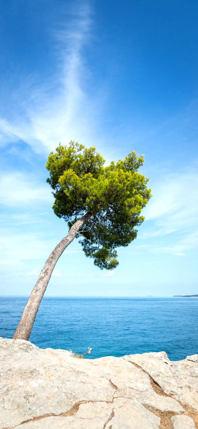 手机壁纸|风景