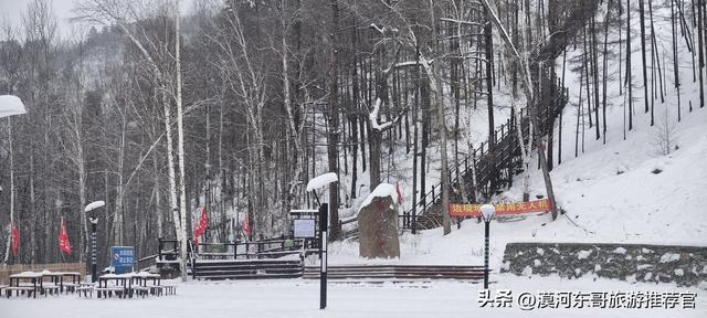 🔥漠河3天2晚封神攻略！打卡中国最北，泼水成冰+驯鹿互动！