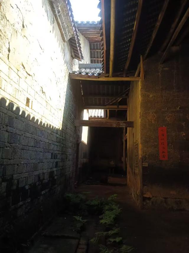 浏河滚滚欲留春，独向芳踪觅雅意——徒步小溪河散记（十一）