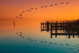 元朝水平最高的8首诗，水平不逊色于经典唐诗图片