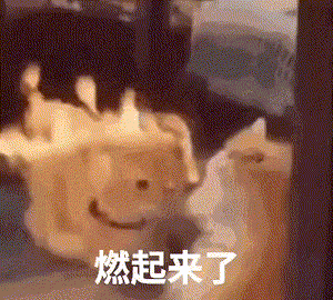 那个逼得我喊“救命”的AI客服，终于活出“人样”了