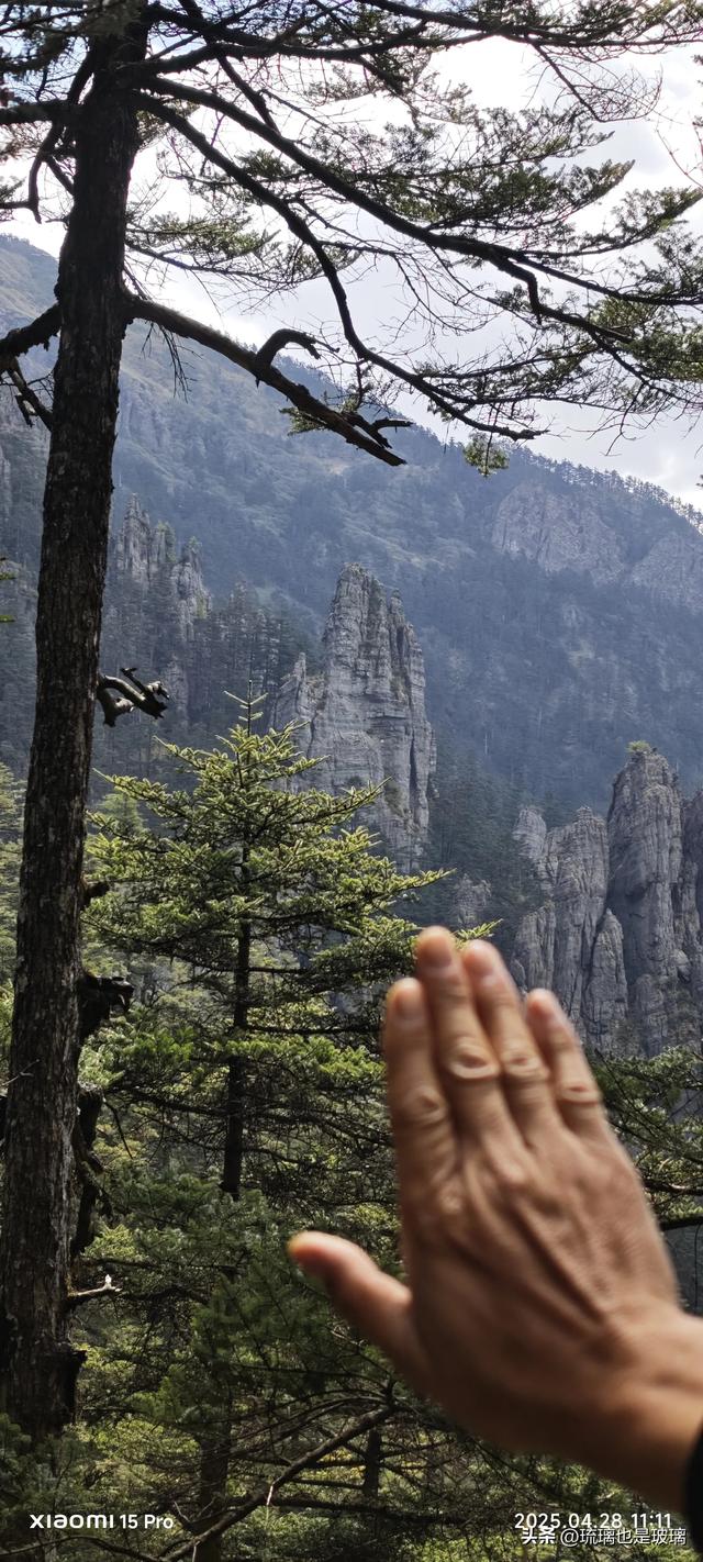 自驾湖北神农架，两上神农谷