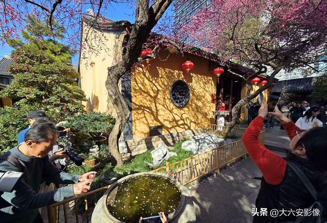 春光明媚 跟着摄影师镜头畅游美丽中国