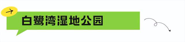 地铁直达！免费！成都20个绝美赏秋地，银杏水杉梧桐红枫限时上演！就在家门口！