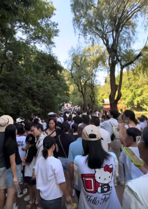 贵州文旅赢麻了！全国游客蜂拥而至，人潮汹涌，避暑胜地名不虚传