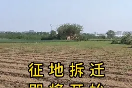 常德地区高铁征地拆迁即将开始，最高补偿有多少图片