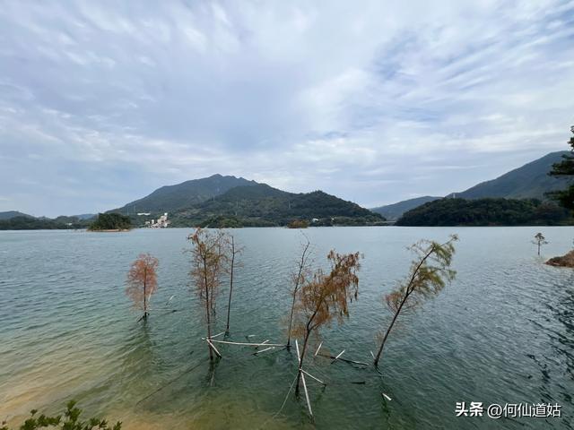 游流溪河森林公园