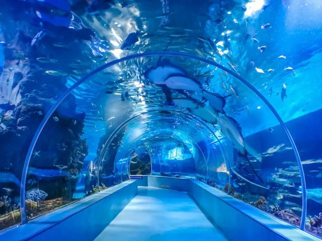 原来真的有城市，可以一天24小时都快乐~（1）