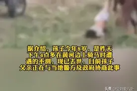 后续！河南被马拖行小孩已死亡，父亲发声 警方2次介入 果然有情况图片