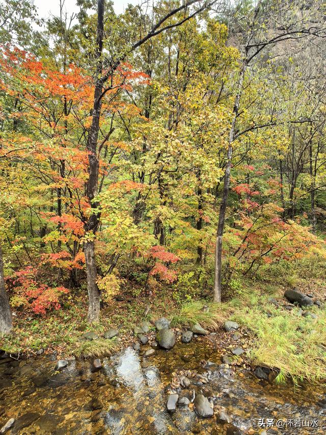 2025辽宁赏秋之旅日记(2)——游览丹东蒲石河森林公园