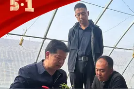 【微海报】致敬最美劳动者②图片