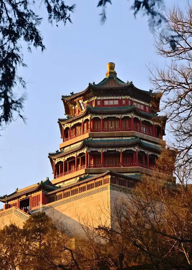 颐和园山桃花 逆寒潮绽放 罕见“血色冬花”