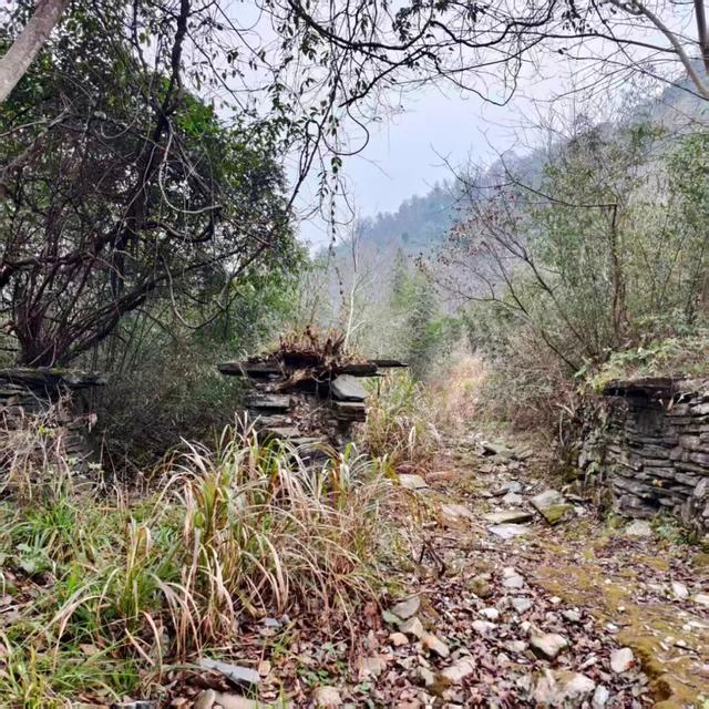 九江文史 | 古道“溪”风瘦马 小桥流水“商”家