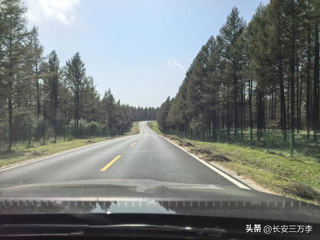 北上大草原第5站：内蒙古乌兰布统