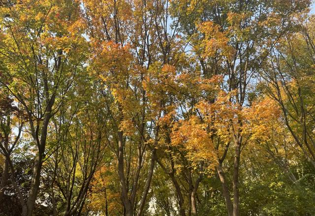 心理学家：和青春期孩子相处，装聋作哑、心宽手懒、演技好