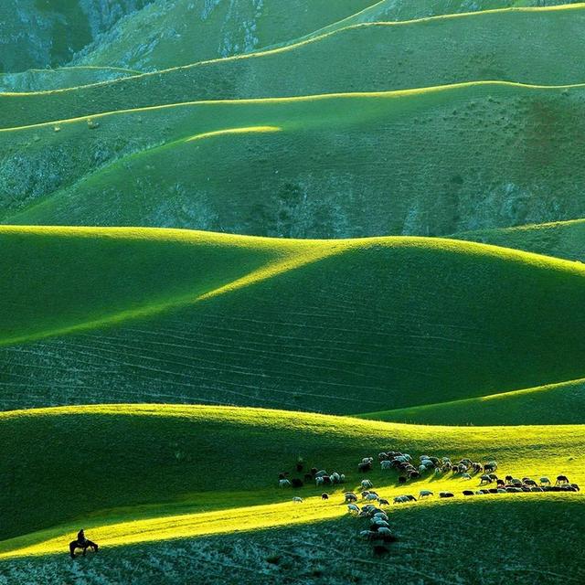 诗和远方 魅影新疆