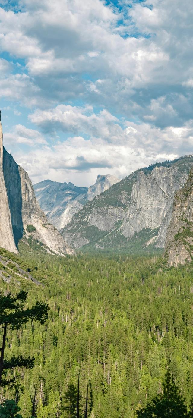 手机壁纸|治愈系的自然美景