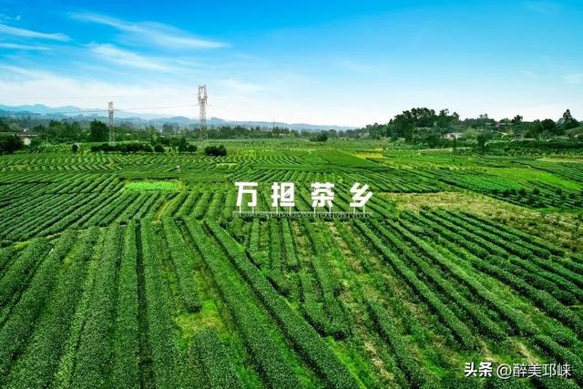 秋崃｜在邛崃，空气里留着千年时光的印记