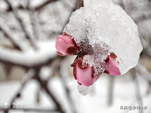老人说“冬至是晴天，寡妇要发愁”，今日冬至，冬至晴有啥预兆？
