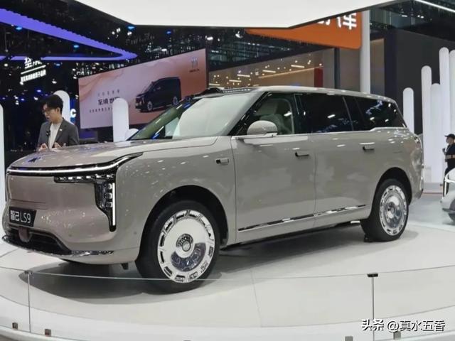 靓车旁的抓拍：《各美其美》