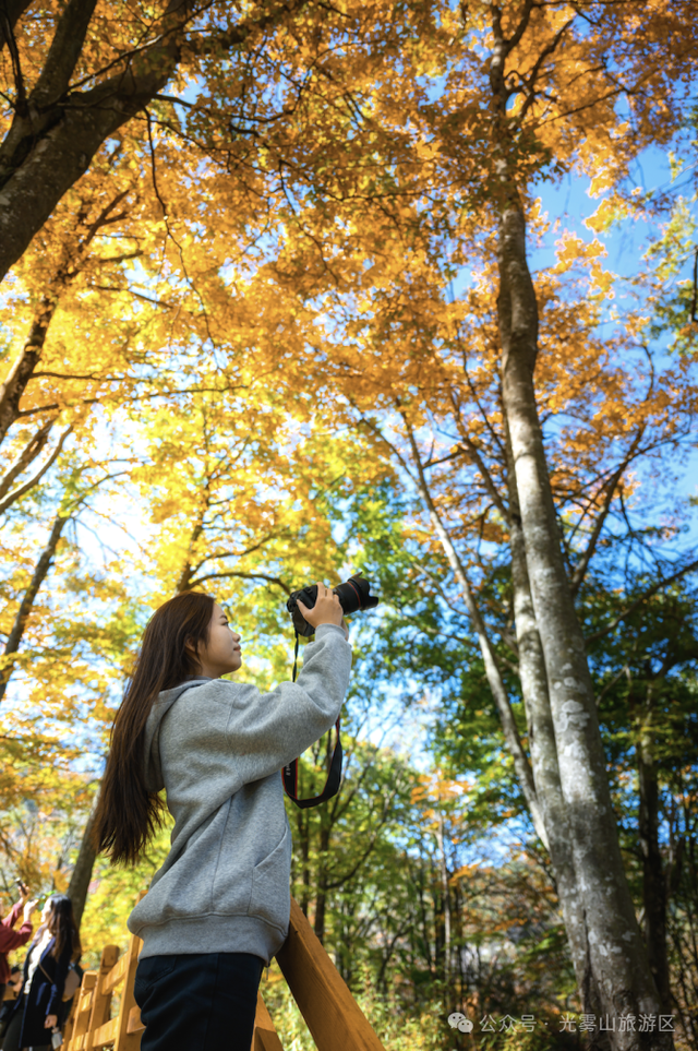 宝子你听我说，近期天气好、红叶美，光雾山可以冲了!