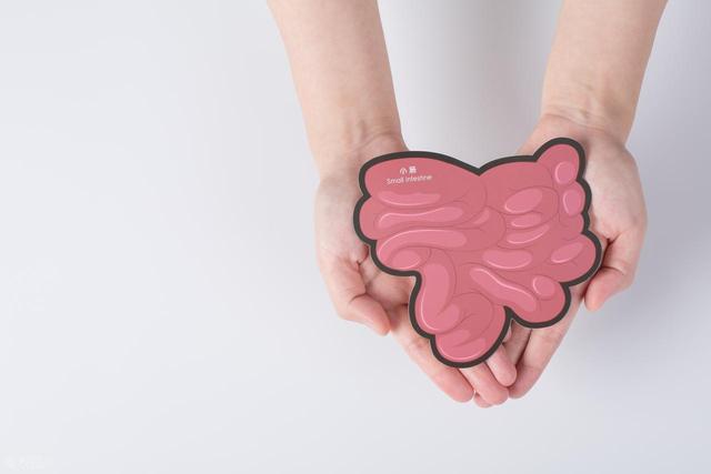 柿子立大功？浙大研究发现：柿子可在36小时清除27%有害菌群？