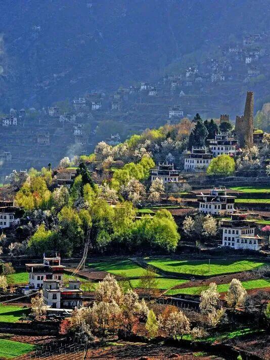 停停停！甘孜秋天美得太快了我看不过来