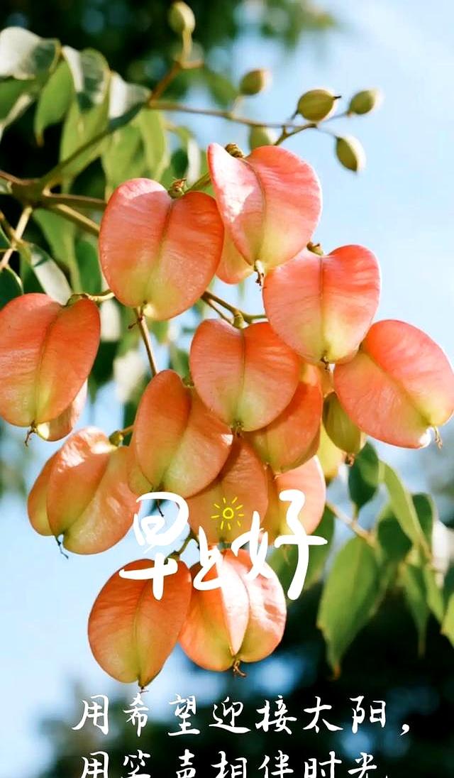 2025年10月9日！星期四，农历八月十八，早安吉祥祝福语！